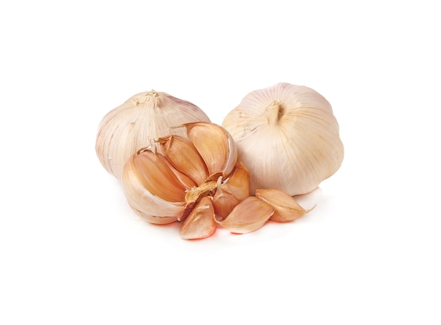 Garlic isolated on white background