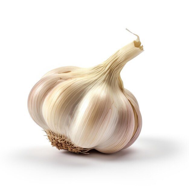 Garlic Isolated on White Background