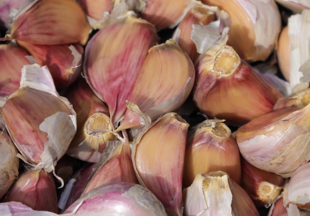 Garlic for planting in open ground Garlic cloves Planting garlic in beds