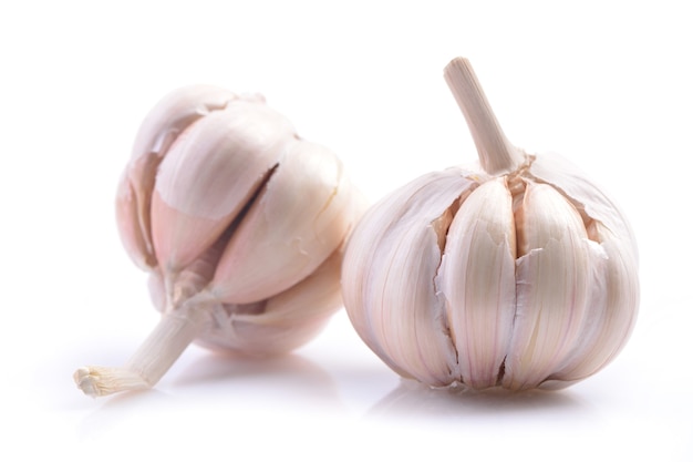 Garlic on a white background