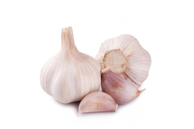 Garlic on white background