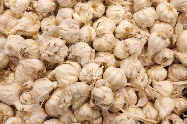 Garlic whole, many piled in bulk, in food market.