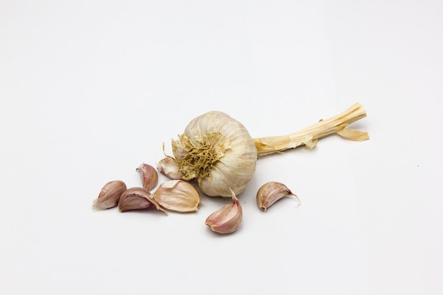 Garlic