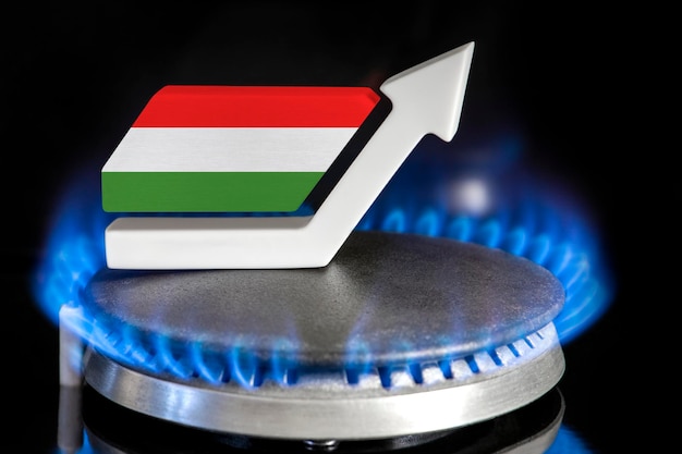 Gas price rise in gas prices in hungary a burner with a flame and an arrow up painted in the colors