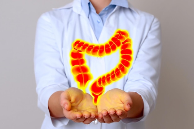 Gastroenterologist holding illustration of large intestine on light background closeup