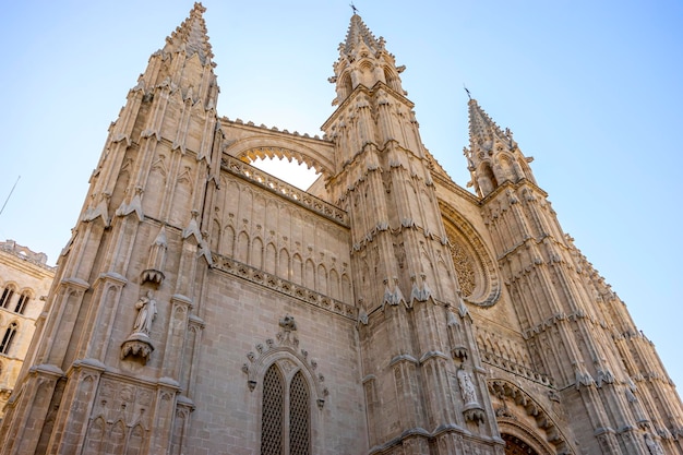 Gaze upon the intricate facade of the Mallorca cathedral a testament to Spains rich architectural history and Balearic beauty