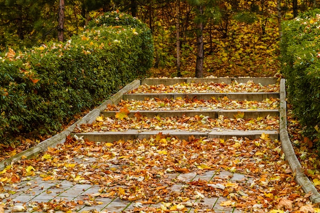 Gazebo in the autumn park