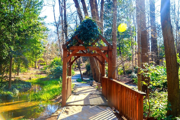 Gazebo covered in plants at a forest with pond