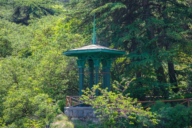 Gazebo in the wild garden