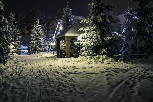 Gazebo wooden house and Christmas trees in the snow at night A trodden door leads to the gazebo