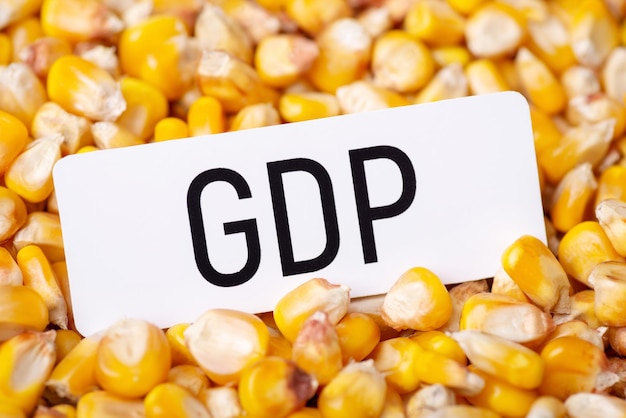 GDP paper on harvested corn grain