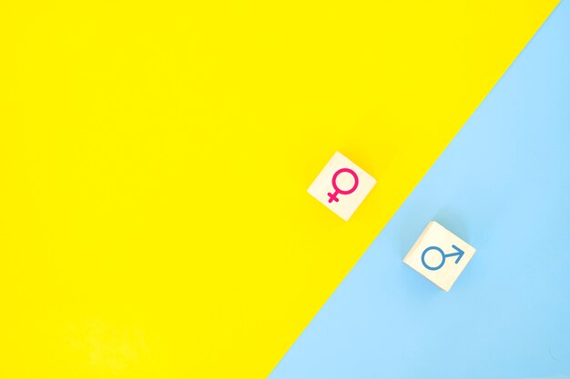 Gender equality concept. Businesswoman and businessman icon on yellowand blue background.