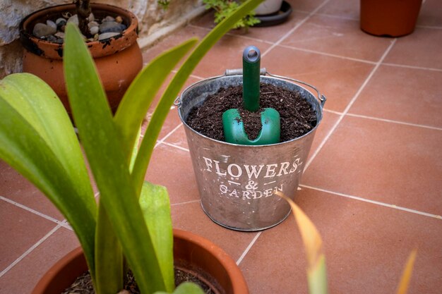 Photo general image of a bucket of new potting soil for transplanting a flower pot