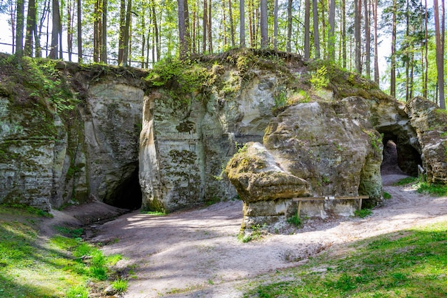 General view of sandstone cliff big elita in forest in sunny day beautiful spring or early summer