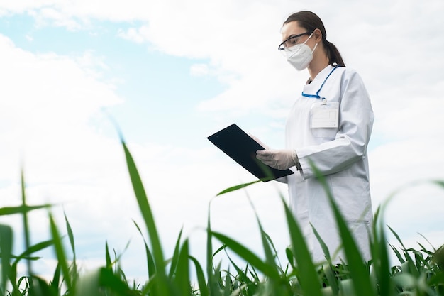 Photo geneticists biologists and scientists study the genetic structure of wheat sprouts in the field agro