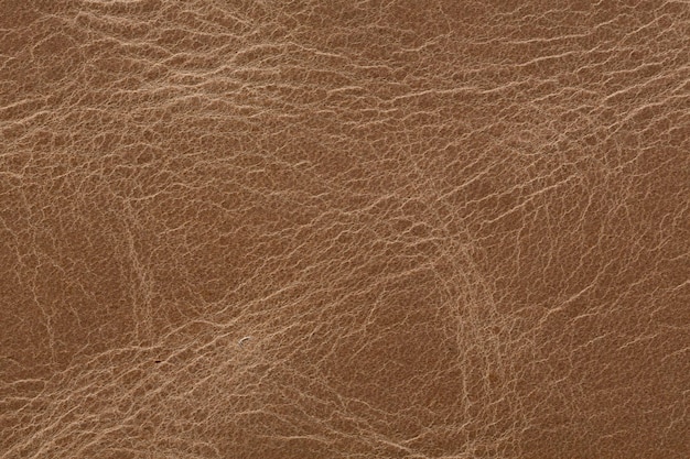 Gentle leather texture in beige colour