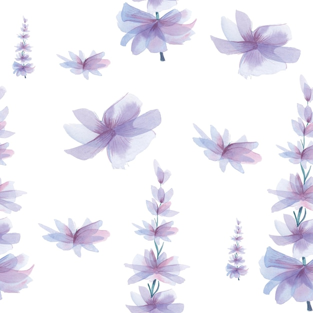 Gentle spring background, violet flowers pattern. Watercolor violet flowers, hand-drawn, isolated on white background. Seamless backdrop.