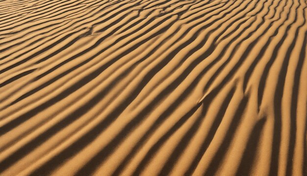 Photo the gentle undulation of desert sand under a golden sun