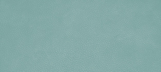 Genuine leather skin texture color Green Canton.