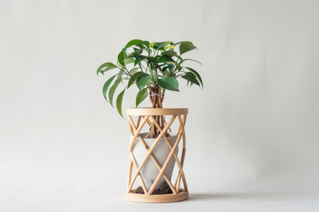 Geometric Plant Stand Isolated In Transparent Background