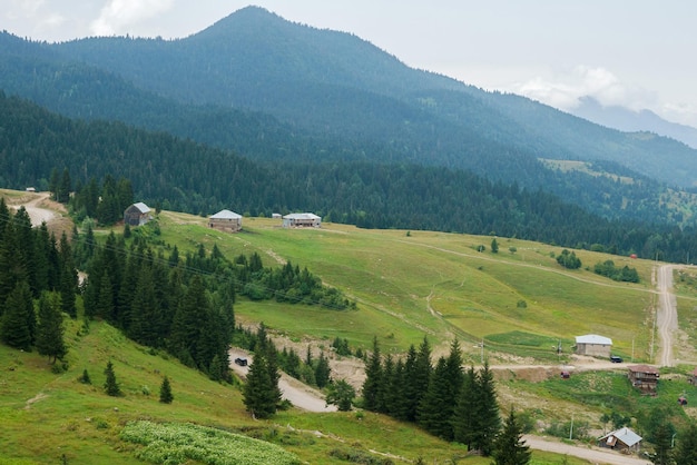 Georgian mountain landscape with a country road a view of the woodlands