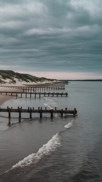 Photo germany mecklenburg vorpommern born auf dem darss groynes on baltic coast