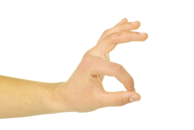 Gesture of the hand on white background