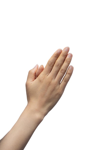 gestures with hands on a white background