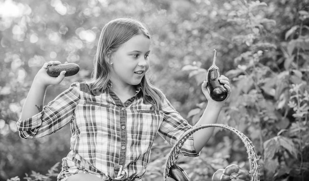 Photo getting food little girl vegetable in basket only natural happy little farmer autumn harvest harvest vitamin spring market garden kid on summer farm organic food healthy food for children