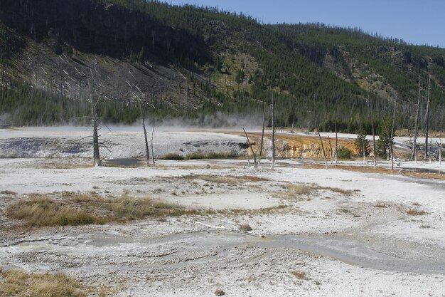 Geysers at Yellowstone national park in Wyoming USA