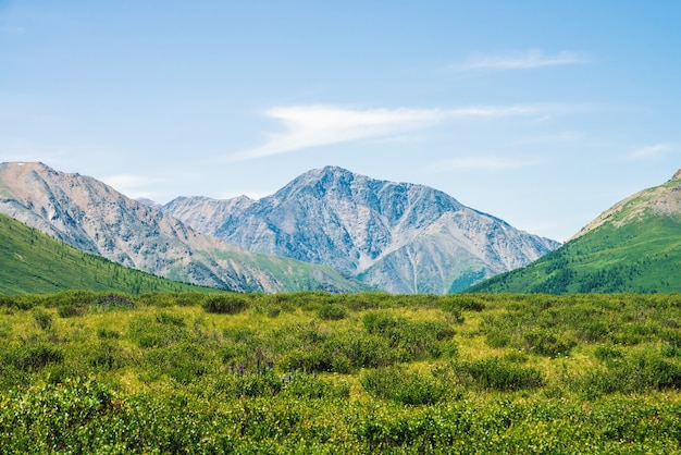 Giant mountains above green valley under clear blue sky.