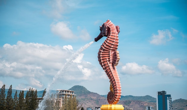 Photo giant seahorse in kampot cambodia amazing