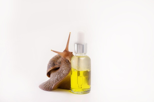 Giant snail Achatina and cosmetics. Natural organic cosmetics. Skin care cosmetics with Snail mucus