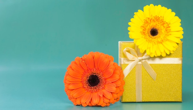 Gift box and two bright gerberas