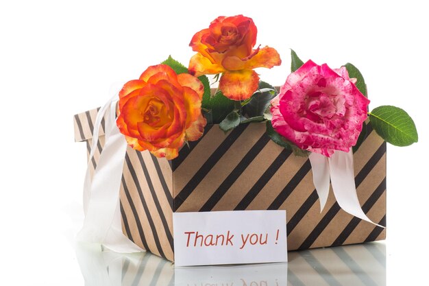 gift box with ribbons and beautiful roses inside isolated on a white background