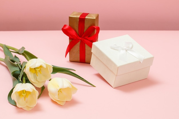 Gift boxes with tulip flowers on a pink background