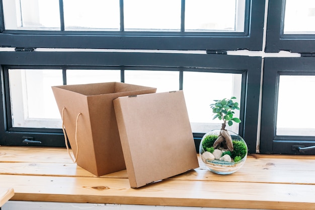 Gift cardboard box and a plant on wooden surface by the window