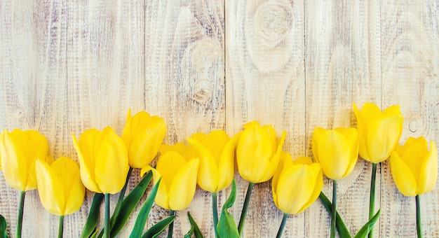 Gift and flowers. selective focus. holidays and events.