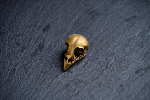 Gilded bird skull on a dark background