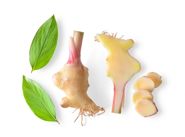 Ginger fresh with leaves Isolated on a white space