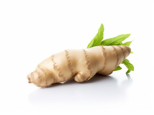 Ginger isolated on a white background