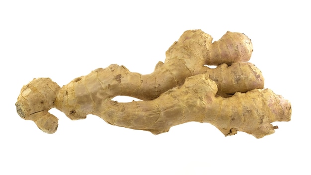 Ginger root on white isolated background Full depth of clarity