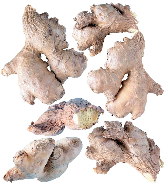 Ginger roots on white background