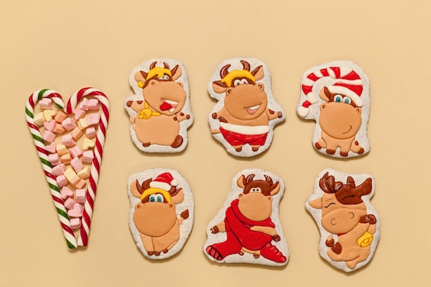 Gingerbread bulls as a symbol of 2021 on a beige background Striped heart shaped lollipops