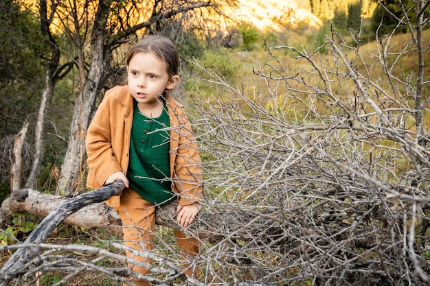 Girl 6 years old climbed a tree during outdoor recreation