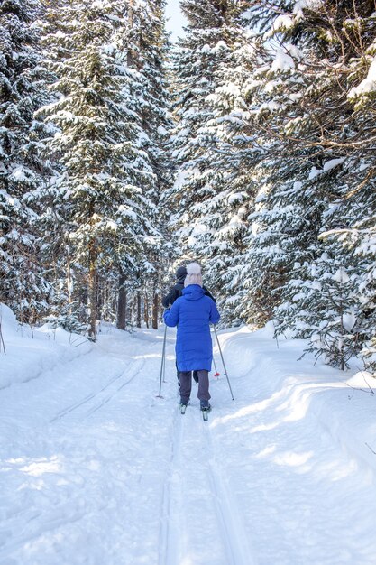 A girl in a blue jacket goes skiing in a snowy forest in winter.