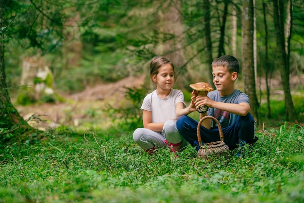 Girl and a boy are holding a boletus mushroom and smiling in the forest