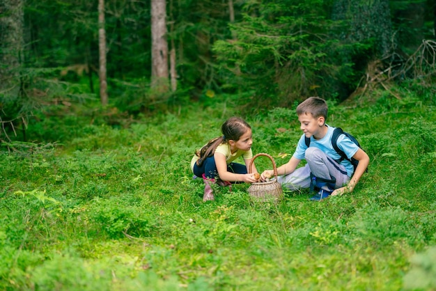 Girl and a boy in boots are sitting and putting mushrooms they found in the forest into a basket