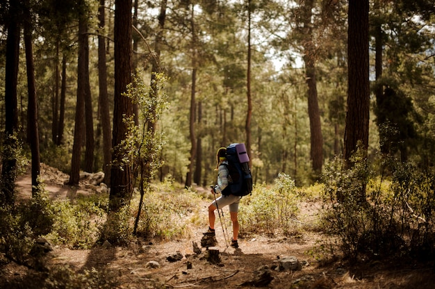 Girl in cap standing on the rock with hiking backpack and walking sticks