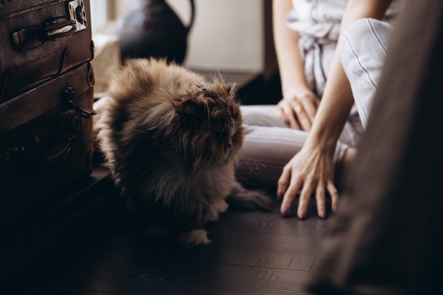 Girl communicates with her domestic red fluffy cat. Love for animals.